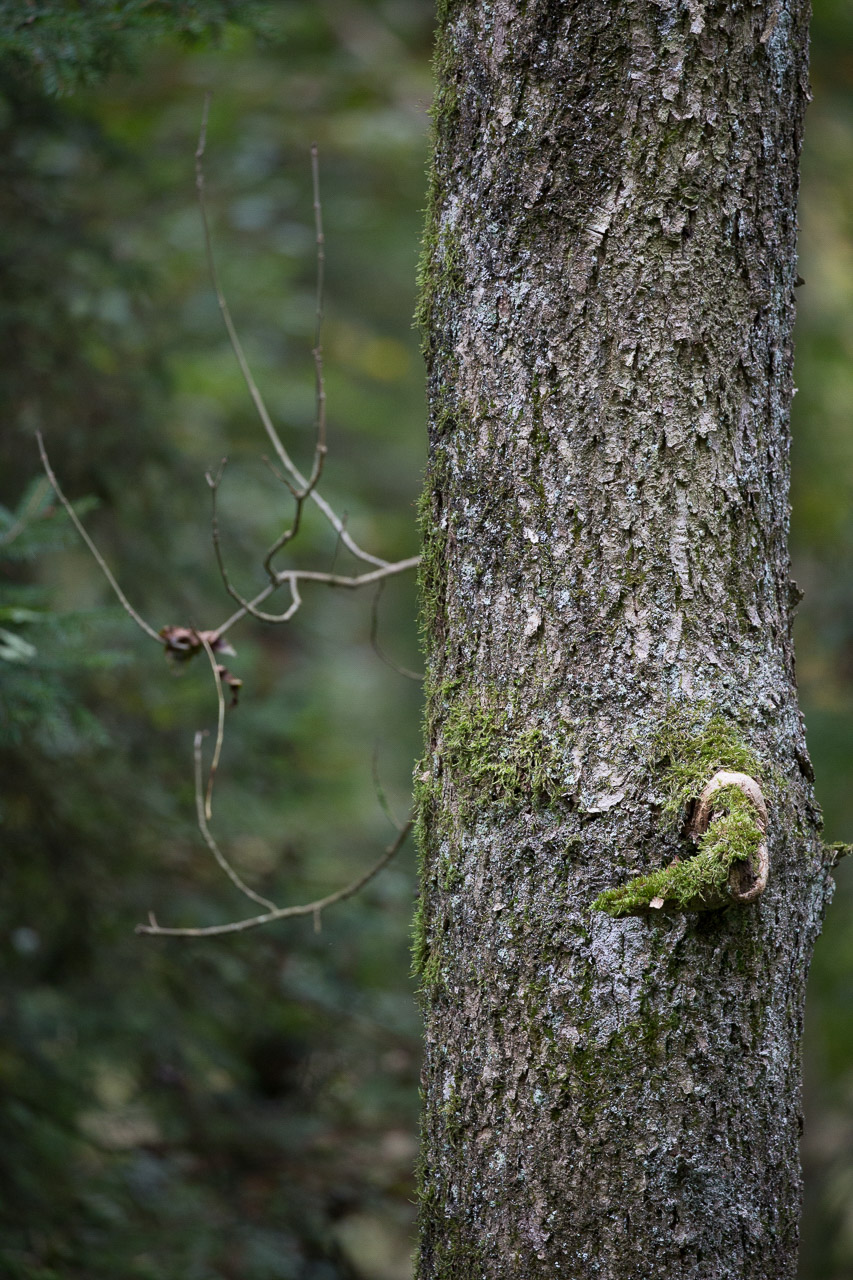 20231014100727 3K6A2213